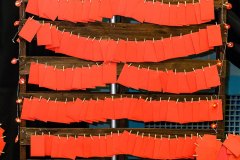 Jim_Lockard_Photography_01_2026_29_