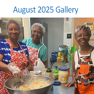 August Picture Gallery
