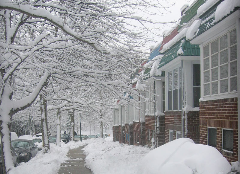 Weathering the Storm: Finding Warmth and Stability in the Coldest Months